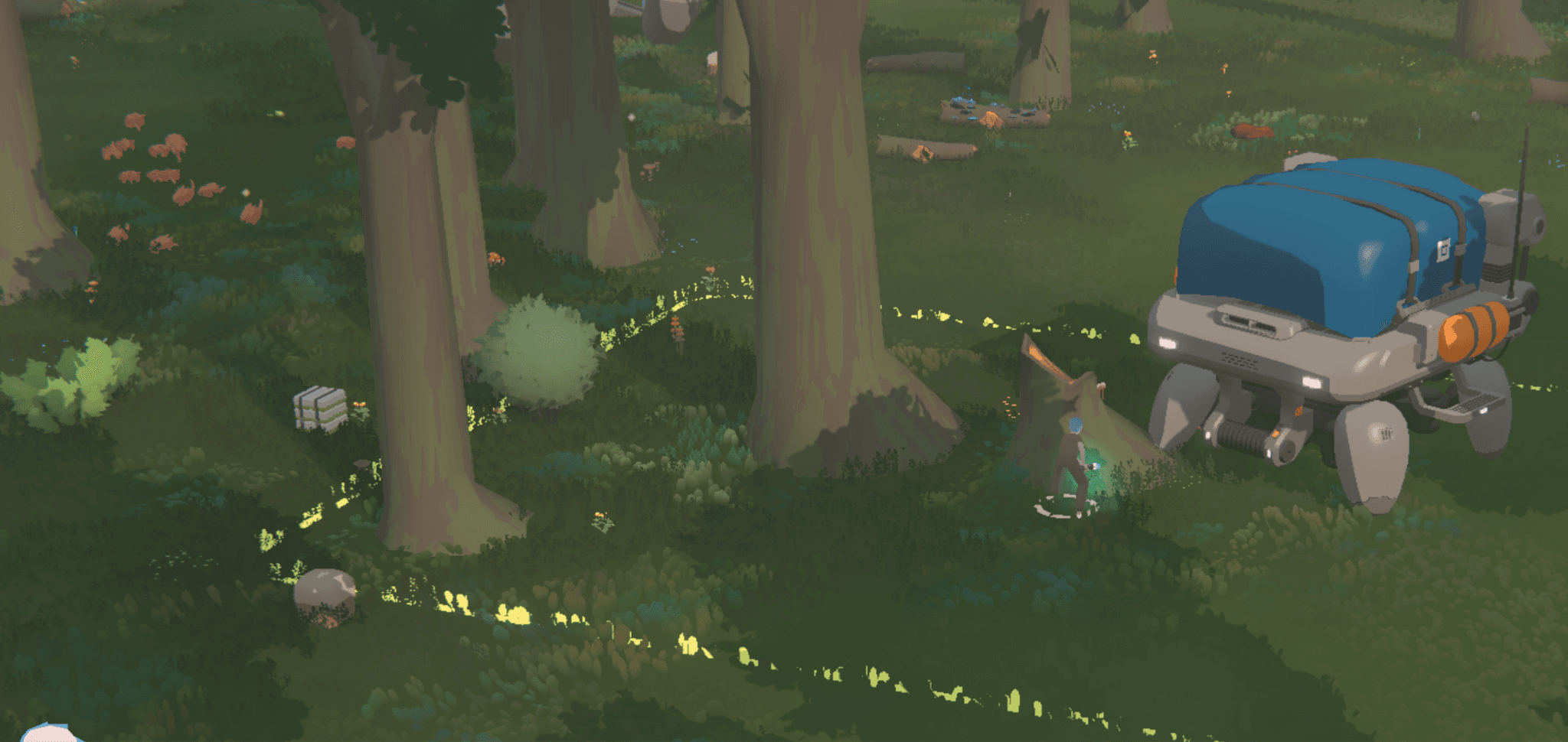 MTU in the woods.png
